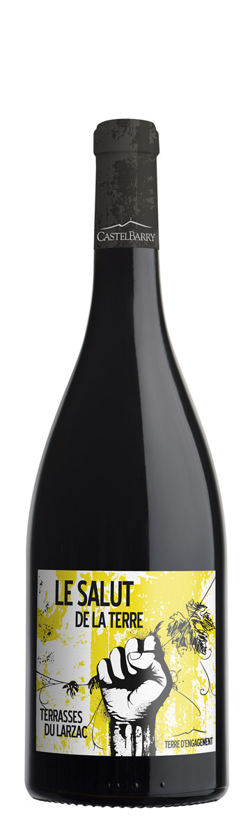 LE SALUT DE LA TERRE